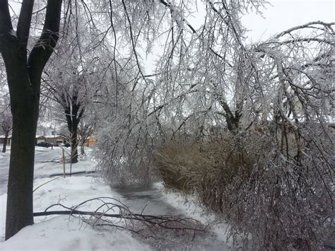 Ice Storm Toronto 2013