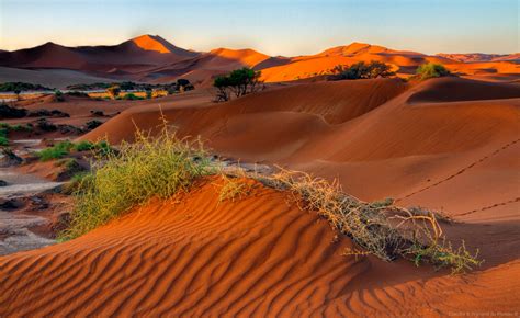 Namibia: Spectacular colours of a magnificent wilderness destination ...