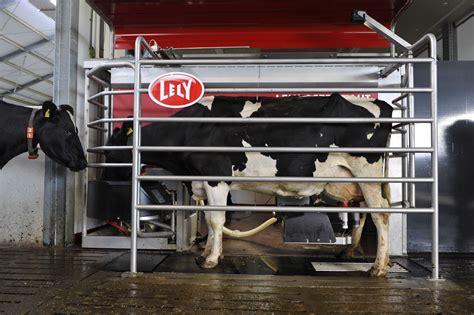 Lely's live robotic milking and zero grazing return to the Ploughing ...