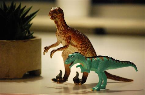 shallow, focus photography, two, dinosaur toys, dinosaur, toy, t-rex, animal, monster, jurassic ...