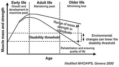 Muscle Loss with Age - If you Don't Use It, You Will Lose It!