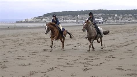 Galloping horses on the beach. - YouTube