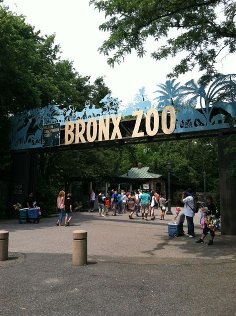 Bronx Zoo, many a school day playing hooky was spent here. I still ...