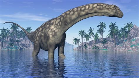 Massive new dinosaur might be the largest creature to ever roam Earth | Live Science