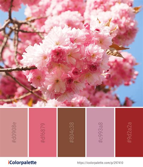 Color Palette ideas from 1804 Blossom Images | iColorpalette | Hex ...