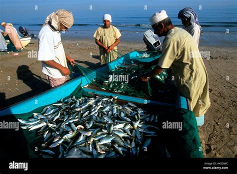 OM, Oman, Barka, Fischer am Strand Stock Photo - Alamy