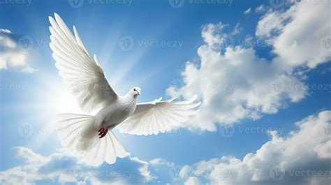 Flying white dove on a background of blue sky with white clouds. International Peace Day Concept ...
