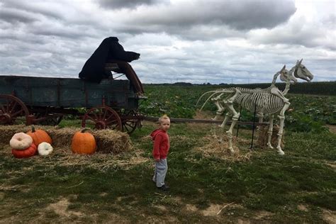 Windy Acres Farm - Calverton, NY