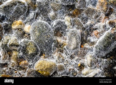 Details, shapes and structures of ice, ice crystals, Austria Stock Photo - Alamy