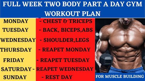 Full Week Gym Workout Plan For Muscle Building | Two Body Part A Day ...