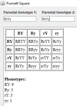 Punnett Square Calculator Eye Color