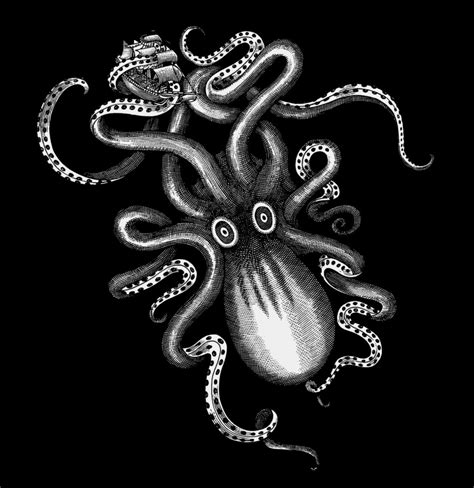 Kraken Rum Illustrations Created by Steven Noble on Behance | Kraken ...