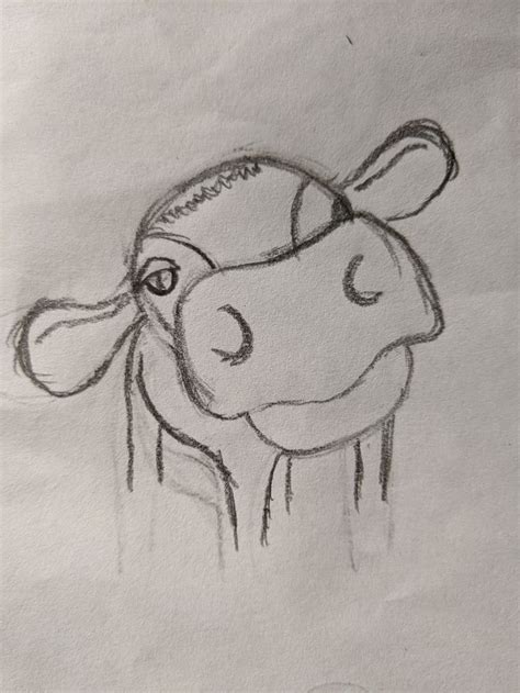 Cute Cow by Brodi | Drawing challenge, Cute cows, Drawings