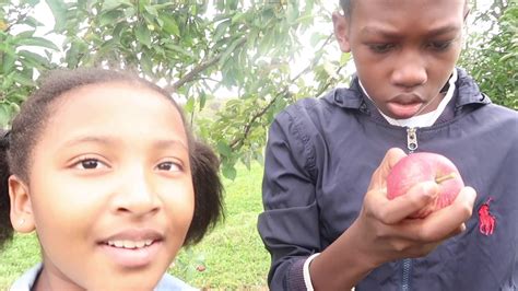 going apple picking! exploring a corn maze!!!!! - YouTube