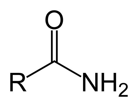 Amide vs. Amine | Functional group, Organic chemistry, Chemistry