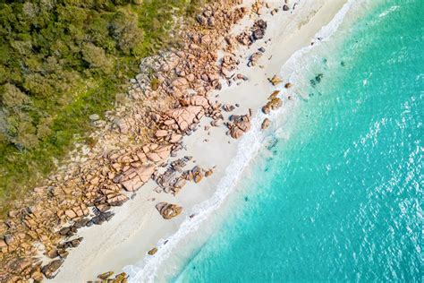 Exploring the Top 4 Beaches in Dunsborough | Naturaliste Charters