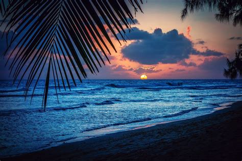 Caribbean Night Wallpapers - Top Free Caribbean Night Backgrounds ...