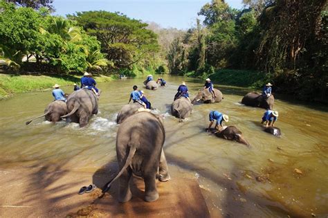 Elephant Conservation Center : Let’s see those lovely elephants