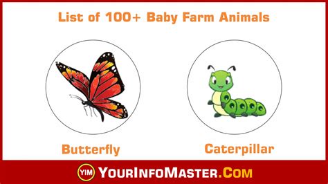 Baby Farm Animals - List of 100+ Popular Names of Baby Animals in ...