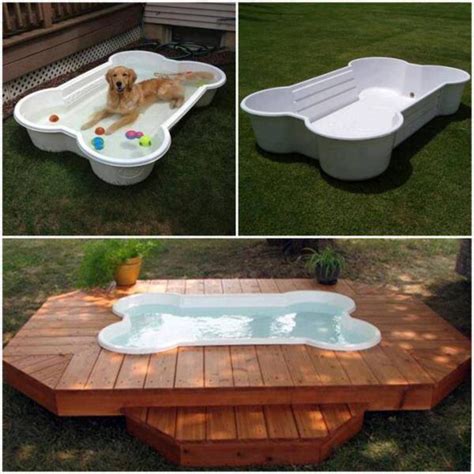 Amazing backyard dog pool you should have