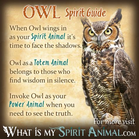 Native American Owl Symbol Meaning