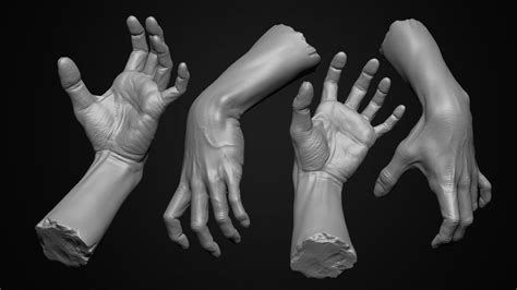 ArtStation - Hand Anatomy Study, Jae wook Park | Hand anatomy, Anatomy ...