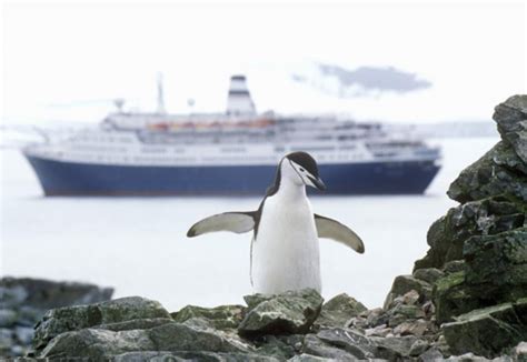 Regulated Tourism in Antarctica Funds Researchers | .TR