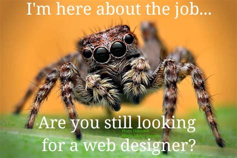 #spider #spiders #joke #funny #meme #mademelaugh #couldntr… | Flickr