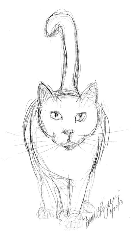 Easy Cat Drawings In Pencil HD phone wallpaper | Pxfuel