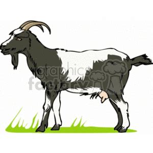 Goat clipart goat grazing, Goat goat grazing Transparent FREE for download on WebStockReview 2023