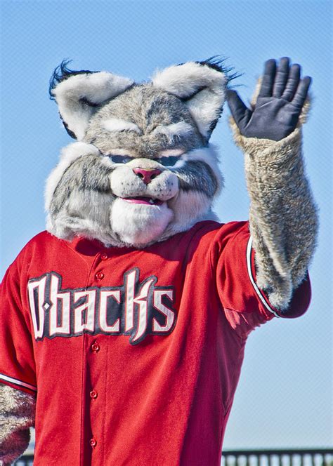 Diamondbacks Mascot Baxter Photograph by Jon Berghoff