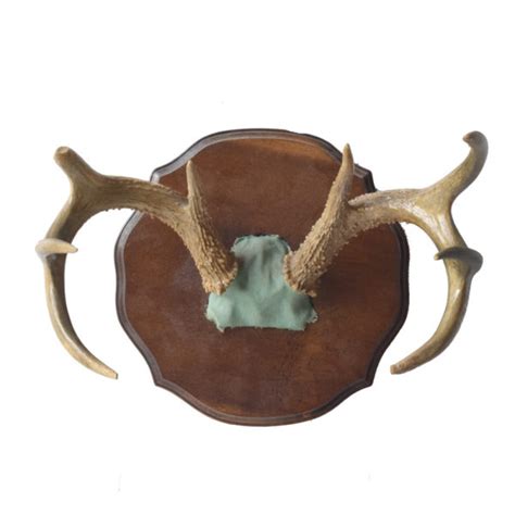 Candle Holder on Bronze - Mule Deer Antler - Taxidermy Mounts for Sale ...