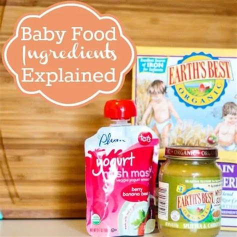 Baby Food Ingredients Explained » Read Now!