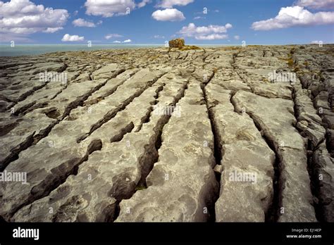 Karst landscape. The Burren, County Clare. Ireland Stock Photo - Alamy