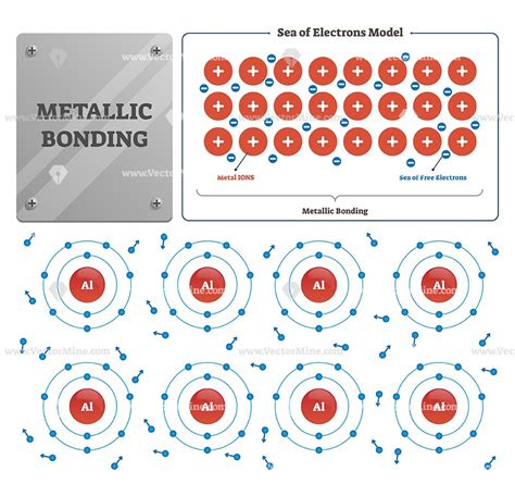 Metallic bonding vector illustration diagram | Metallic bonding, Teaching chemistry, Chemistry ...