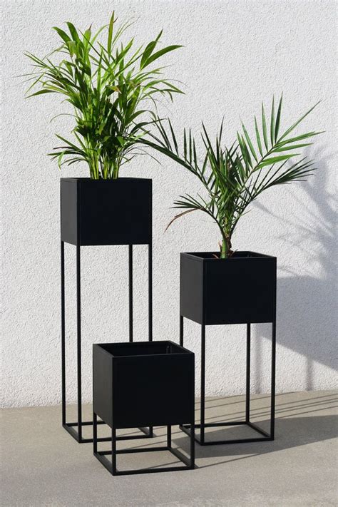 The 10 Best Collection of Black Plant Stands