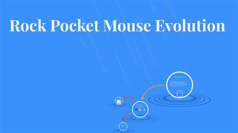 Rock Pocket Mouse Evolution by Trevor Nong on Prezi