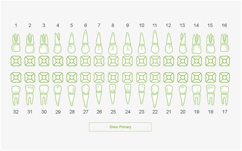 Amazon.com: Dental Chart : Apps & Games