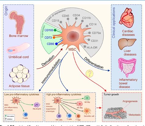 Figure 3 from Ethical and Safety Issues of Stem Cell-Based Therapy | Semantic Scholar