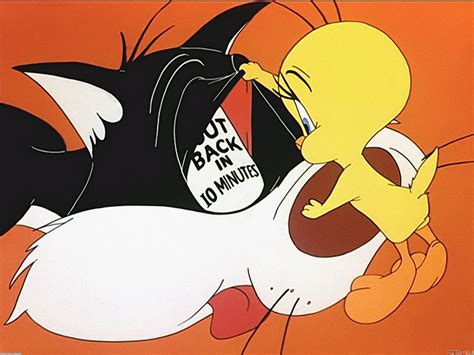 Titi et Gros Minet | Sylvester the cat, Looney tunes characters, Looney ...