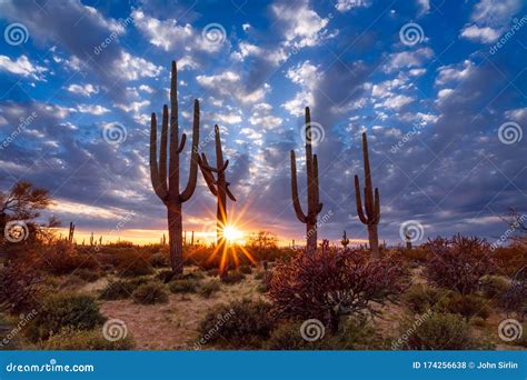 Arizona Desert Landscape with Saguaro Cactus at Sunset Stock Photo - Image of cactus, ocatillo ...