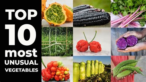 TOP 10 Most Unusual Vegetables - YouTube