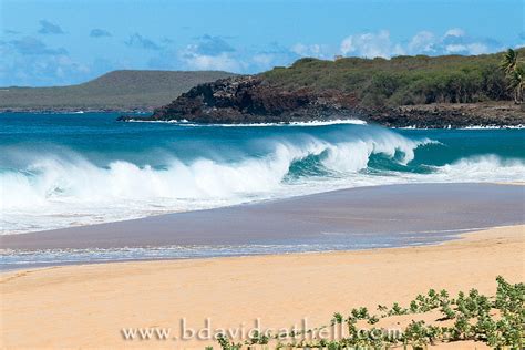 B. David Cathell Photography - Molokai - Papohaku_Beach