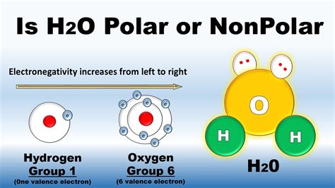 Is H2O Polar or Nonpolar ( in Urdu / Hindi) | Covalent Bond | #ChemicalBonding - YouTube - YouTube