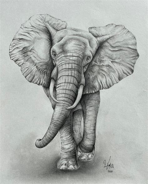 Elephant Pencil Drawing, Elephant Wall Art, Elephant Home Decor ...