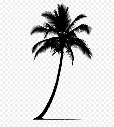 Arecaceae Silhouette - palm tree silhouette png download - 512*512 ...