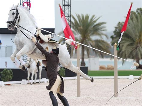 eclipse Supports the Spanish Riding School's First Middle East Display ...