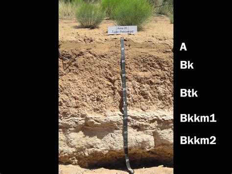 Aridisols | Soil & Water Systems | University of Idaho