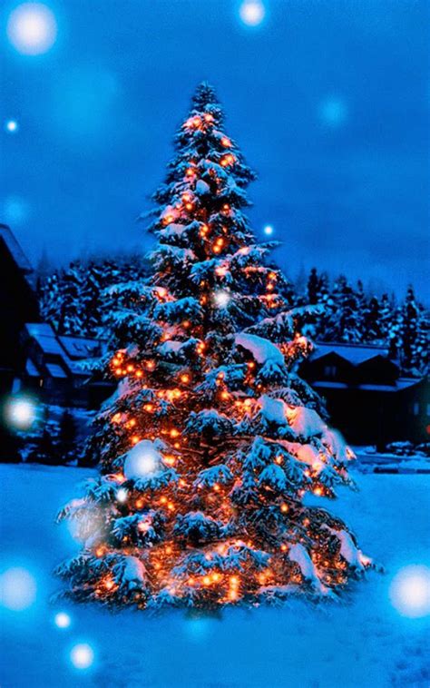 Christmas Tree Lights Decoration Snow Covered 4K Ultra HD Mobile Phone Wallpaper