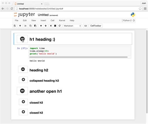 Jupyter Notebook Format Markdown